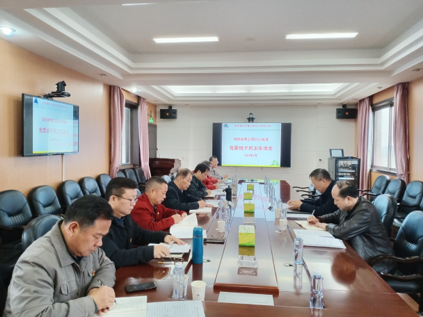 古天乐代言太阳集团138常德公司召开2022年度党委班子民主生活会