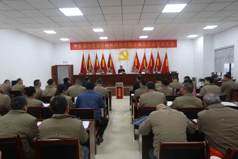 古天乐代言太阳集团138贵溪公司胜利召开党员大会暨两委换届选举大会