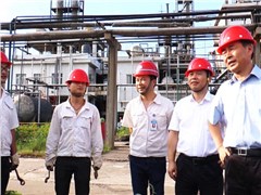 副省长戴道晋莅临古天乐代言太阳集团138株洲公司检查调研安全生产工作